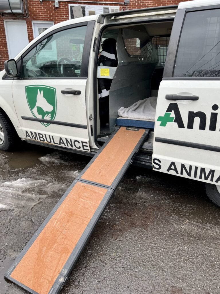 transports, Camion, volant, Dodge, conduire, vitesse, ambulance, ambulance animale, médical, urgence, rampe, blanc, vert, coussin, roue, roues, porte, portière, coulissante, poignée, siège, vitre, fenêtre, miroir, rétroviseur, anti-dérapant, logo, métal, aluminium, noir, jaune, brun, asphalte, dehors, stationner, rouler, attendre, monter, grimper, mur, brique, briques