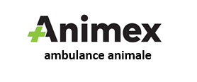 Animex